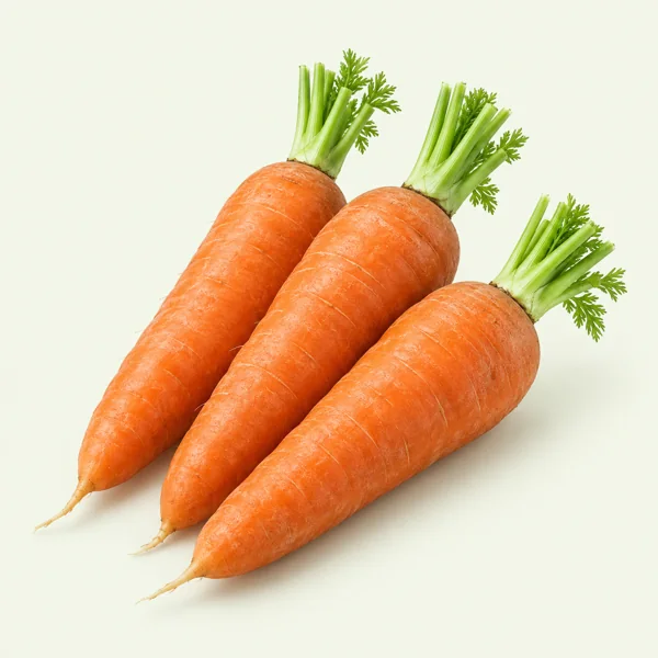 Carrot