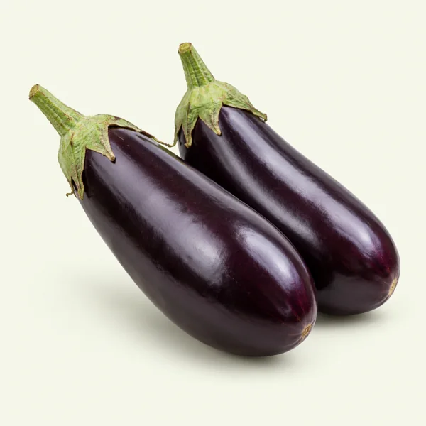 Aubergine