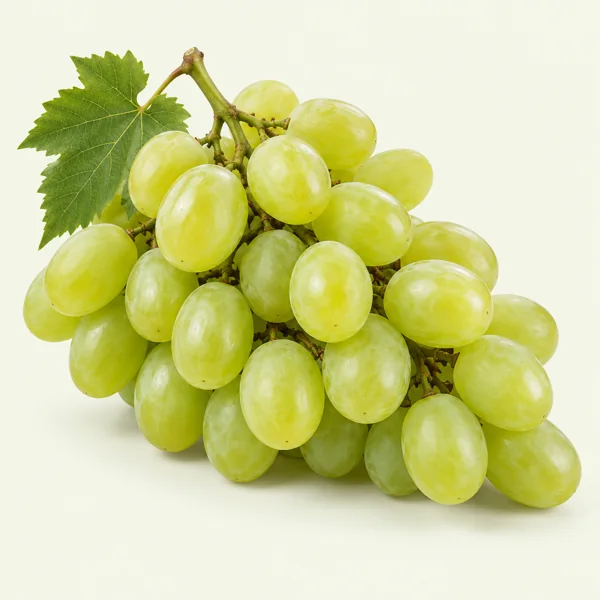 Üzüm
